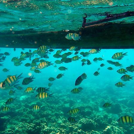 Phuket Meet Holiday Hotel 普吉岛相遇花园度假酒店 Rawai Zewnętrze zdjęcie